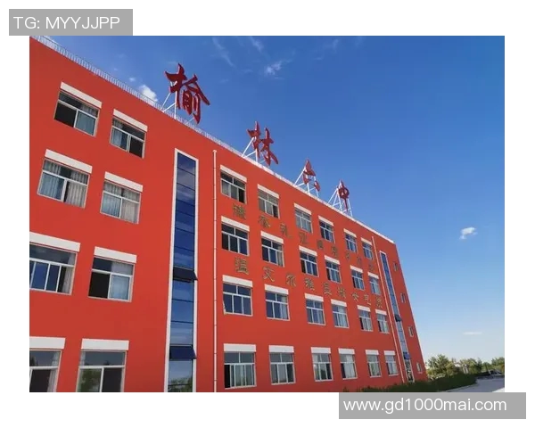 深度对话：探寻杨秀英在篮球世界中的成长与奋斗历程