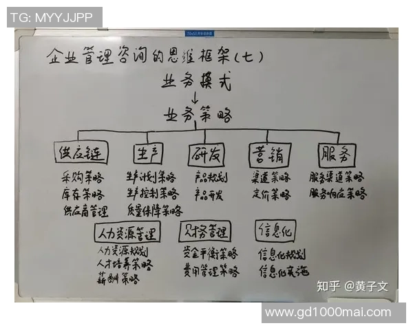 黄芳独家篮球心得分享：从基础技巧到比赛策略的全面解析与经验传授