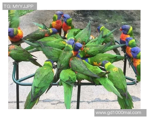 李丽的滑板人生：在城市街头与梦想深度对话的旅程