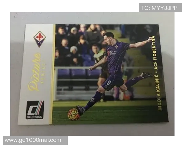 足球明星卡片编号查询指南助你轻松找到心仪球星信息与收藏价值