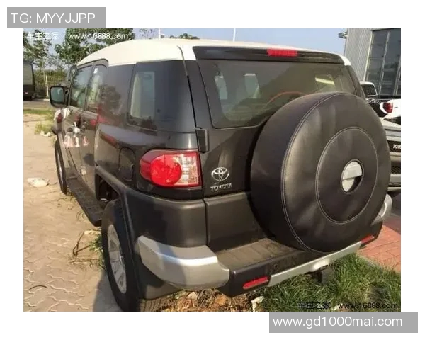 重庆网球队在洲际杯积分榜上以88分稳居第一名展现强劲实力