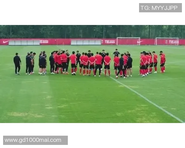 南京网球队耐力训练引发热议球迷与专家各执己见