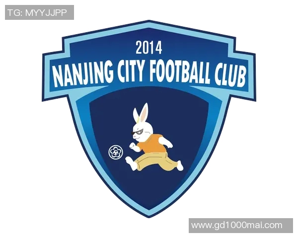 南京足球队意识探讨与发展路径分析助力球队崛起与城市足球文化建设 南京足球队意识探讨与发展路径分析助力球队崛起与城市足球文化建设