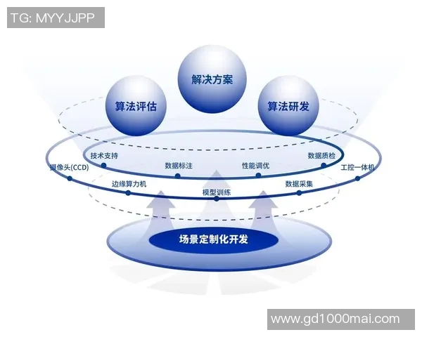 广州排球队的华丽转身与未来展望全景解析